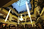 IMG_9684.jpg IMG_9684.jpg