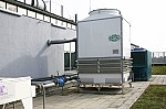 _MG_9392.jpg _MG_9392.jpg