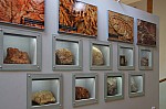 IMG_1433.jpg IMG_1433.jpg