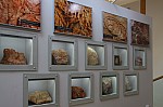 IMG_1434.jpg IMG_1434.jpg