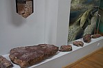IMG_1438.jpg IMG_1438.jpg