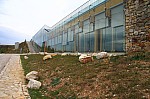 IMG_1477.jpg IMG_1477.jpg