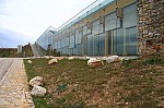 IMG_1478.jpg IMG_1478.jpg