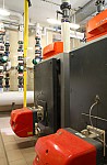 IMG_1355.jpg IMG_1355.jpg