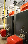 IMG_1356.jpg IMG_1356.jpg