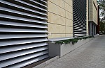 IMG_1384.jpg IMG_1384.jpg