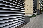 IMG_1385.jpg IMG_1385.jpg
