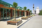 _MG_8781.jpg _MG_8781.jpg