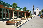 _MG_8784.jpg _MG_8784.jpg