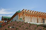 _MG_8803.jpg _MG_8803.jpg