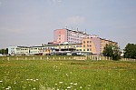 IMG_6981.jpg IMG_6981.jpg