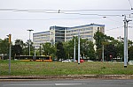IMG_8513 (2).jpg IMG_8513 (2).jpg