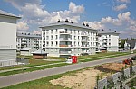_MG_8679.jpg _MG_8679.jpg