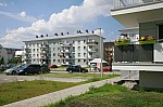 _MG_8708.jpg _MG_8708.jpg