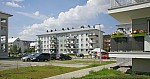 _MG_8709.jpg _MG_8709.jpg