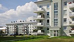 _MG_8710.jpg _MG_8710.jpg