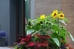IMG_9722.jpg IMG_9722.jpg