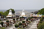 _MG_8325.jpg _MG_8325.jpg