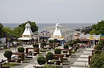 _MG_8326.jpg _MG_8326.jpg