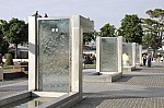 _MG_8439.jpg _MG_8439.jpg