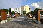 _MG_8454.jpg _MG_8454.jpg
