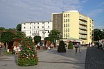 _MG_8459.jpg _MG_8459.jpg