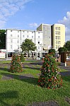 _MG_8466.jpg _MG_8466.jpg