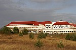 _MG_0303.jpg