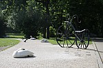 IMG_9772.jpg IMG_9772.jpg