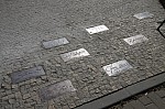 IMG_9777.jpg IMG_9777.jpg