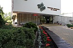 IMG_9803.jpg IMG_9803.jpg