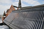 IMG_8058.jpg