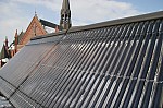 IMG_8079.jpg