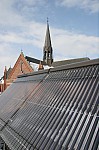 IMG_8081.jpg