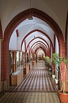 IMG_8088.jpg