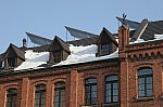 IMG_8109.jpg