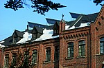 IMG_8204.jpg