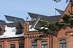 IMG_8219.jpg