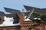 IMG_8223.jpg
