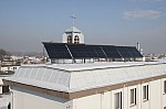 IMG_8118.jpg