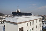 IMG_8126.jpg