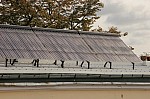 IMG_9499.jpg IMG_9499.jpg
