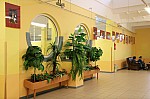 IMG_4773.jpg IMG_4773.jpg