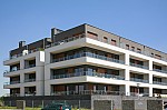 _MG_9787.jpg _MG_9787.jpg