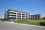 _MG_9791.jpg _MG_9791.jpg