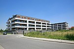 _MG_9793.jpg _MG_9793.jpg