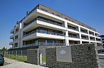 _MG_9798.jpg _MG_9798.jpg