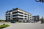 _MG_9785.jpg _MG_9785.jpg