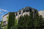 IMG_8009.jpg IMG_8009.jpg