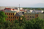 IMG_7173.jpg IMG_7173.jpg